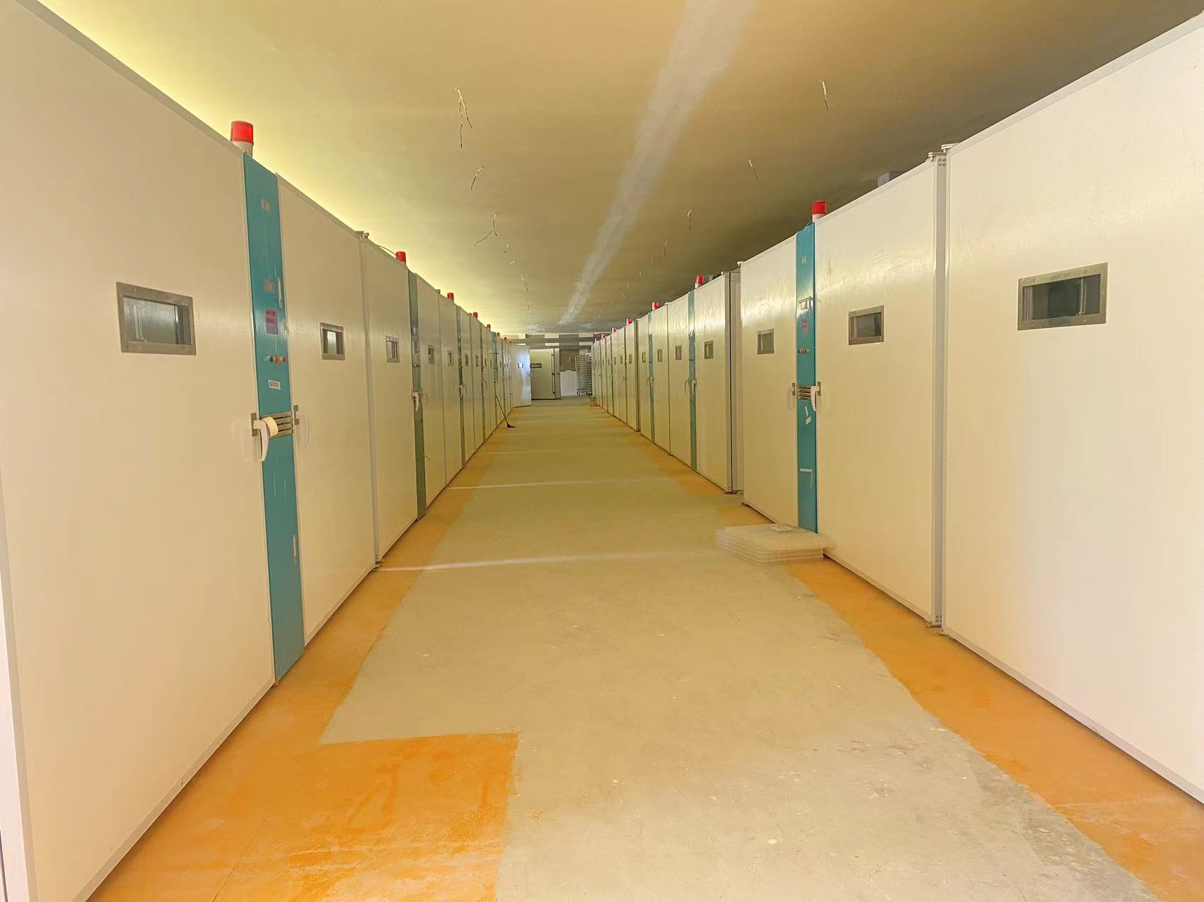 บล็อกบริษัทล่าสุดเกี่ยวกับ โซลูชั่นสำหรับสัตว์ปีกที่ทนทาน: ทำไมโรงฟักไข่ในแอฟริกาจึงเปลี่ยนมาใช้ ELT-57600S สแตนเลสสตีลและไฟเบอร์กลาส