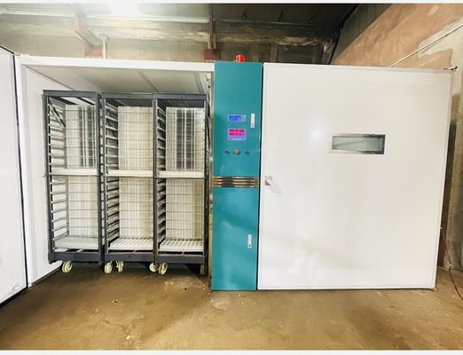ซื้อ ตู้ฟักไข่ระยะเดียวที่ควบคุมด้วยไมโครคอมพิวเตอร์พร้อมความแม่นยำของอุณหภูมิ ±0.5°C online manufacture