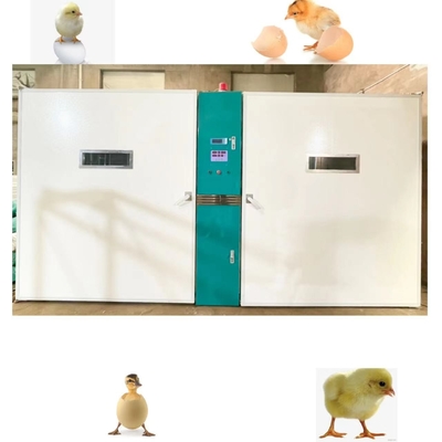 ซื้อ เครื่องฟักไข่ไก่ฟาร์มขนาดใหญ่ความจุ 19200 online manufacture