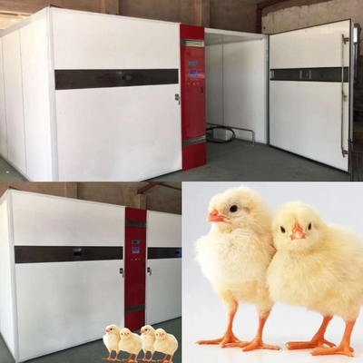 ซื้อ ตู้ฟักไข่อุตสาหกรรม 1000W พร้อมความแม่นยำความชื้น ±3%RH online manufacture