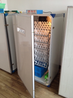 ซื้อ Easy Hatch ตู้ฟักไข่อัตโนมัติสำหรับไข่ไก่ตู้ฟักไข่ความจุ 300 ฟอง online manufacture