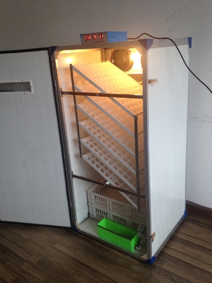 ซื้อ ตู้ฟักไข่ไก่ 500 ฟอง online manufacture