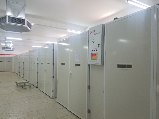 ซื้อ 20000 Incubator เครื่องฟักไข่ไก่ online manufacture