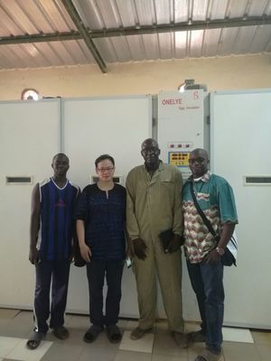 ซื้อ ตู้ฟักไข่นกกระทาเชิงพาณิชย์อุตสาหกรรม 90000 ไข่หมุนอัตโนมัติ 6.5kw online manufacture