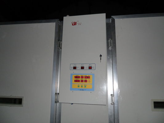 ซื้อ Ss ตู้ฟักไข่ขั้นตอนเดียวสำหรับไข่นกความจุ 10,000 ตู้ฟักไข่ online manufacture