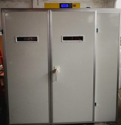 ซื้อ 3960 Cockatiel Chicken Egg Setter อุปกรณ์ฟักไข่พร้อมตะหลิวอัตโนมัติ online manufacture