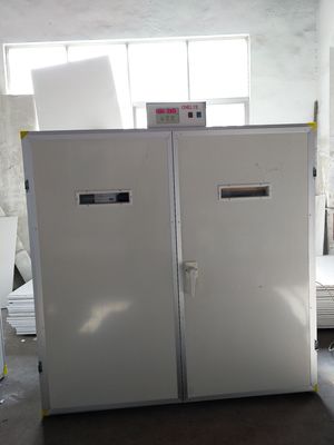 ซื้อ 7040 เครื่องฟักไข่ไก่ฟ้า Setter เครื่องฟักไข่ online manufacture