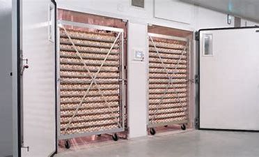 ซื้อ อัจฉริยะ 31824 Eggs Quail Single Stage Incubator พร้อม Egg Turner online manufacture