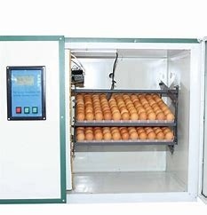 ซื้อ 90 องศา 336 Pigeon Poultry Egg Incubator Hatcher Intelligent Controlling online manufacture