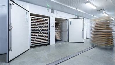 ซื้อ 6 Trolley Air Cooling Single Stage Incubator อัจฉริยะอัตโนมัติเต็มรูปแบบ online manufacture