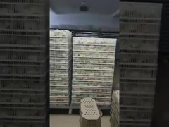 หน่วยอุปกรณ์ปลูกที่พบกันทั่วไปที่สุดคืออะไร?